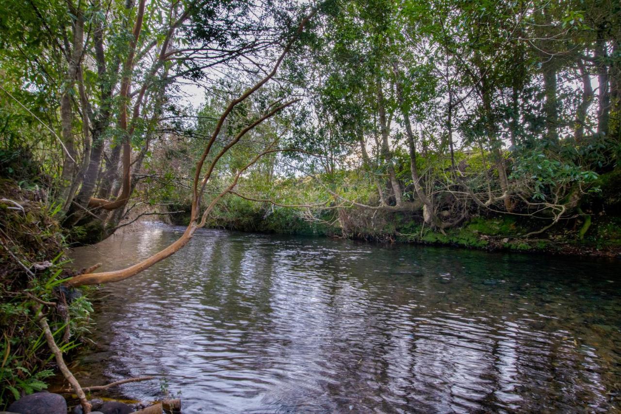 Vuelta Al Sur Bed & Breakfast Puelo River Luaran gambar